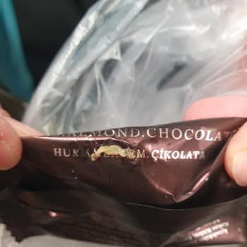 File Market Aldığım Çikolatanın İçinden Kurt Çıktı