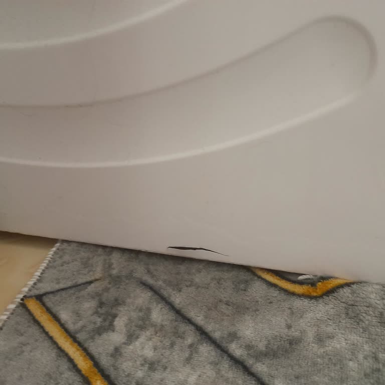 Çamaşır Makinesinde Küflenme Ve Boya Atması Sorunu