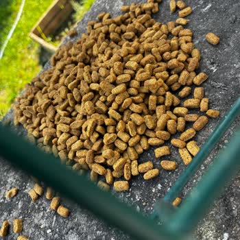 Aldığım Kedi Mamasında Güven Sorunu Ve Çözülmeyen Mağduriyet