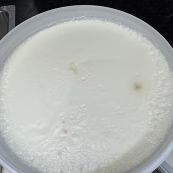 Son Kullanma Tarihi Geçmemiş Yoğurtta Küf Sorunu Ve Değişim Talebi