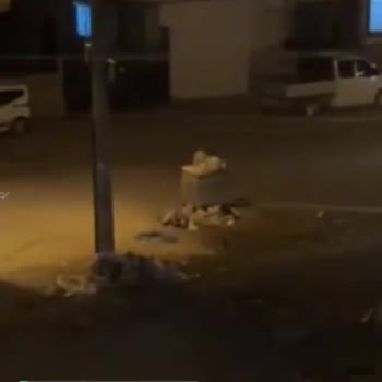 Büyükşehir Olan Bir Şehirde Bir Mahalle!
