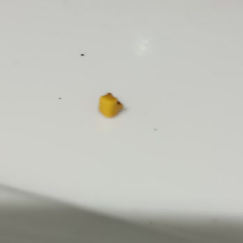 Dr. Oetker Pudingde Sert Cisim Tehlikesi, Güvenim Sarsıldı