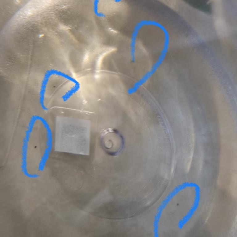 Getir'den Aldığım Damacana Suda Hijyen Sorunu Ve Çözülmeyen Mağduriyet