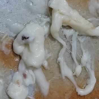 Torku Kaşar Peynirinde Siyah Cisim Ve Plastik Tadı Şoku