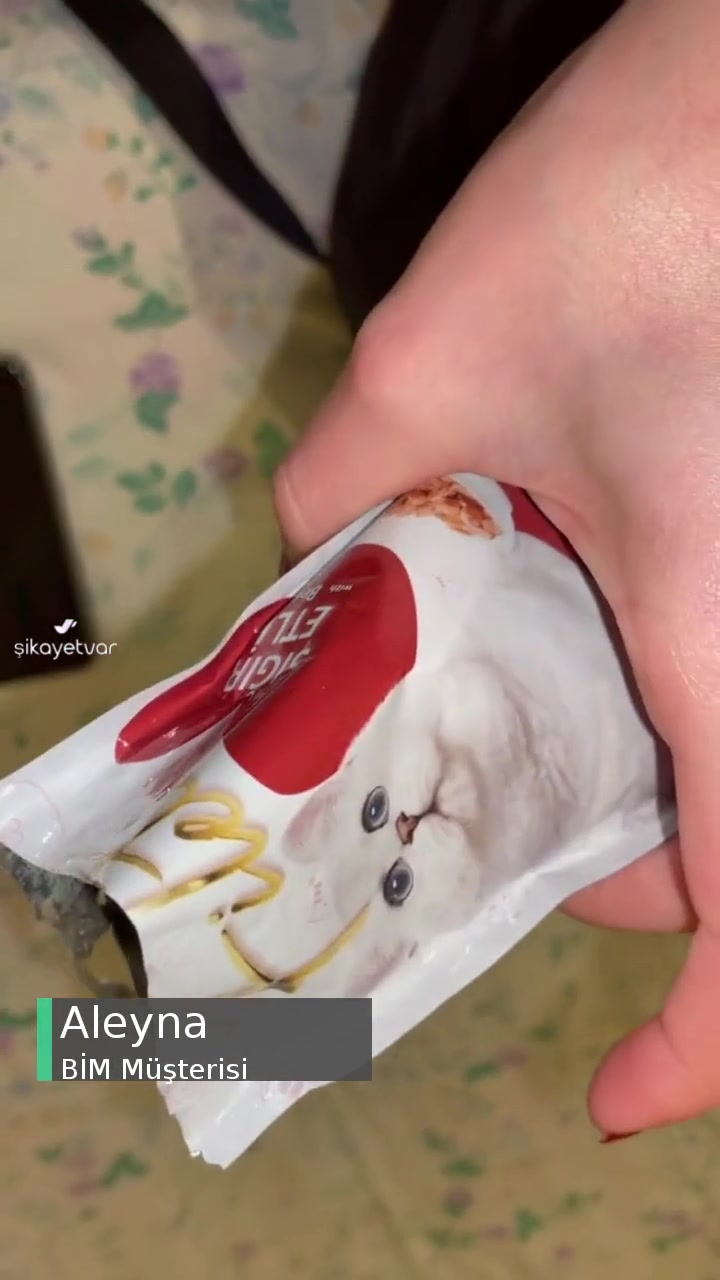 Fileto Kedi Maması (BİM) videonun kapak resmi