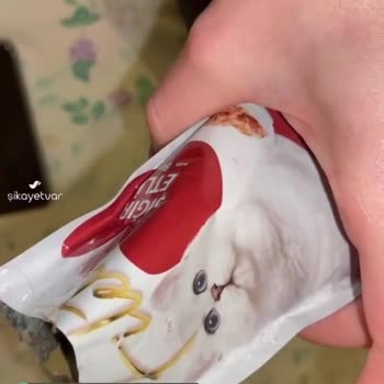 Fileto Kedi Maması (BİM)