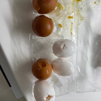 Yumurta İadesi 20 Gündür Yapılmadı, Paramı Alamıyorum!