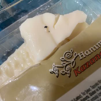 A101'den Aldığım Kazandibi Tatlıda Yabancı Maddeler Çıktı, Sağlığım Tehlikede