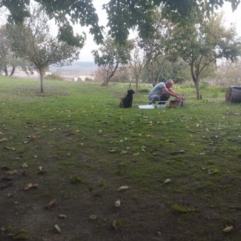 Teslim Edilmemiş Sipariş Ve Yetersiz Müşteri Hizmeti Nedeniyle Mağduriyet