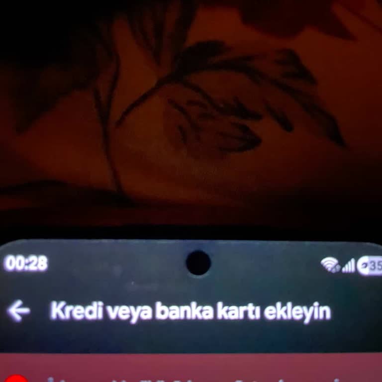 Halkbank Paraf Troy Genç Kart İle Google Play'de Alışveriş Yapılamıyor, Müşteri Hizmetlerinden Çözüm Alınamıyor