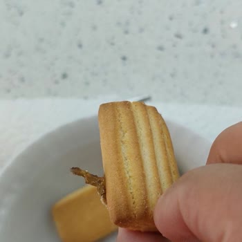 Bebek Bisküvisinde Şüpheli Madde Ve İlgisiz Müşteri Hizmetleri