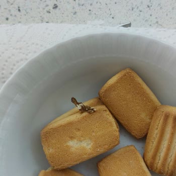 Bebek Bisküvisinde Şüpheli Madde Ve İlgisiz Müşteri Hizmetleri