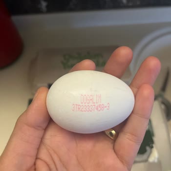 Doğal Yumurta Diye Aldım, Kafes Yumurtası Çıktı!