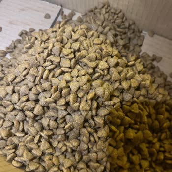 Migros Aldığım Köpek Mamaları Bozuk Çıktı, Mağduriyetimin Giderilmesini İstiyorum