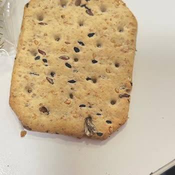 Ülker Altınbaşak Light Krakerin İçinden Böcek Çıkması