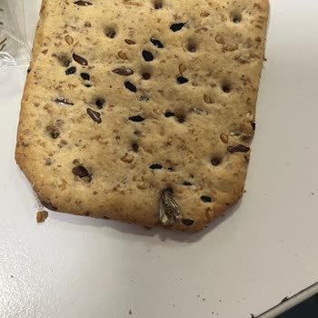 Ülker Altınbaşak Light Krakerin İçinden Böcek Çıkması