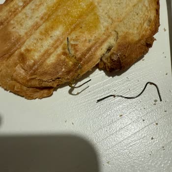 Siyez Ekmeklerinde Sürekli Kalite Sorunu Yaşamaktan Şikayetçiyim