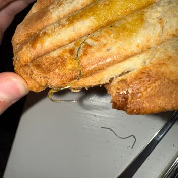 Siyez Ekmeklerinde Sürekli Kalite Sorunu Yaşamaktan Şikayetçiyim