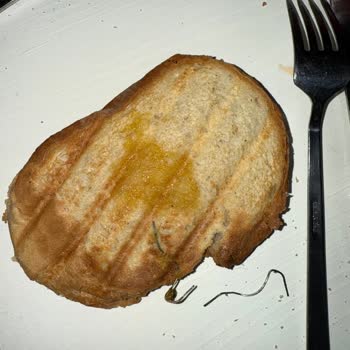 Siyez Ekmeklerinde Sürekli Kalite Sorunu Yaşamaktan Şikayetçiyim