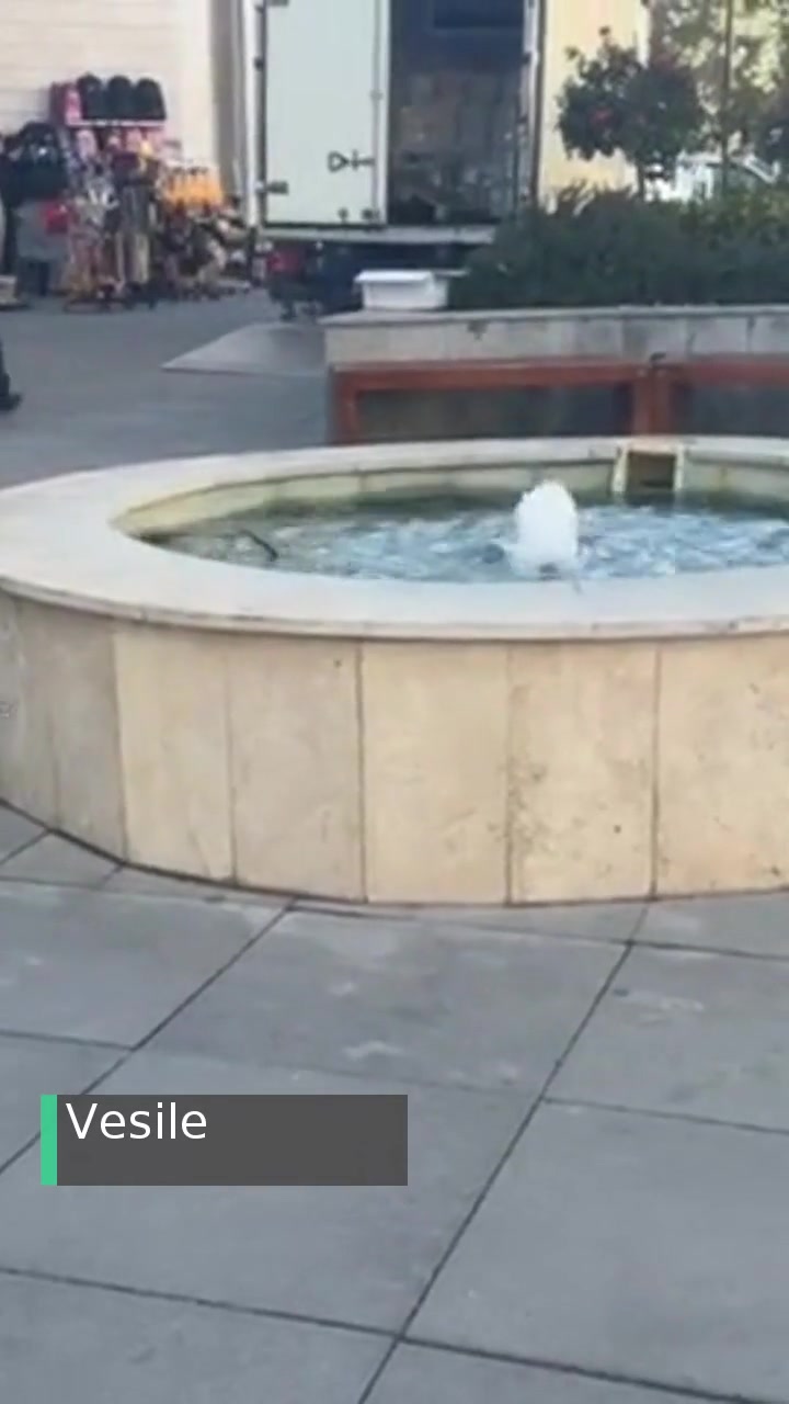 Konya Büyükşehir Belediyesi Elektrik Çarpması Tehlikesi videonun kapak resmi