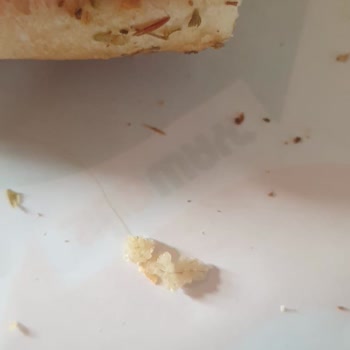 Subway Siparişimde Saç Çıkması Ve Hijyen Sorunu