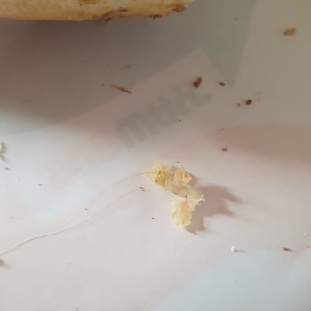 Subway Siparişimde Saç Çıkması Ve Hijyen Sorunu