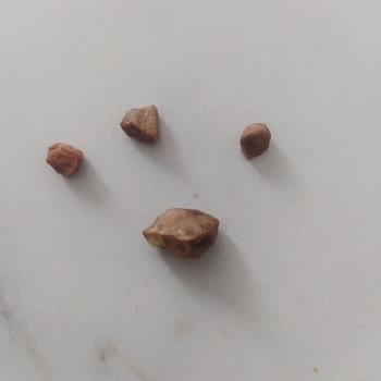 Helvadan Çıkan Taş Çocuğumun Dişini Kırdı: Mağduriyetimin Giderilmesini İstiyorum