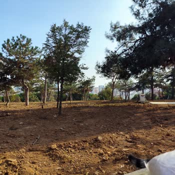 Eki aç