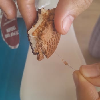 Eti Puf Ürününün İçinden Kıl Çıkması Ve Hijyen Sorunu