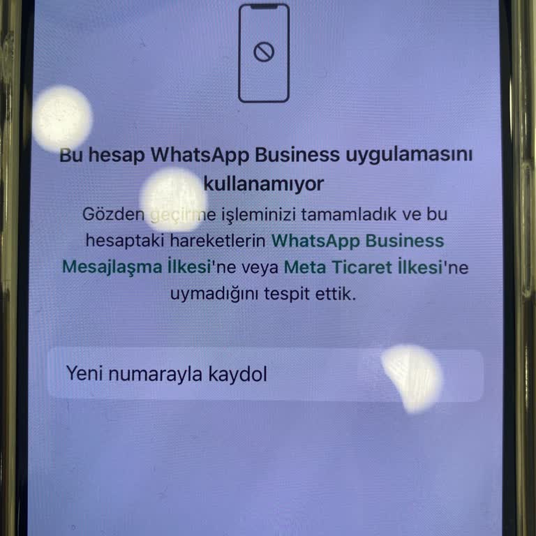 WhatsApp Business Hesabım Toplu Mesaj Nedeniyle Engellendi Destek Alamıyorum
