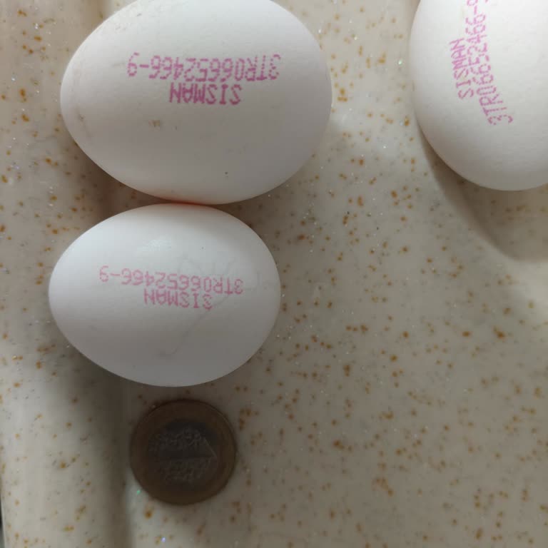 Yumurta Gramajı Sürekli Düşük, Tüketici Yanıltılıyor!