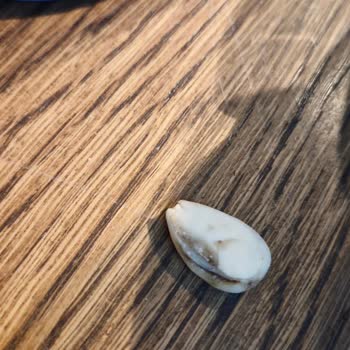 Aldığım Soyulmuş Bademlerin İçinde Çürük Bademlere Rastladım