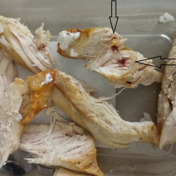 Bozuk Ürün Ve Yetersiz İade Süreci Nedeniyle Mağduriyet