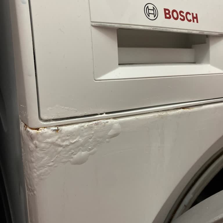 Bosch Seri 6 Çamaşır Makinesinde Küf Ve Su Akıtma Sorunu