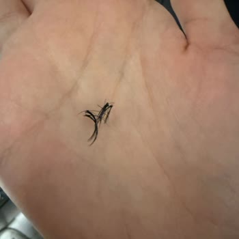 İpek Kirpik İşlemi Sonrası Yaşanan Görme Problemi Ve Yetersiz Müşteri Desteği