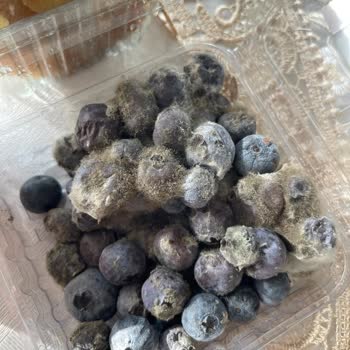 Migros Online Market'ten Bozulmuş Ürün Teslimatı Ve İlgisiz Müşteri Hizmetleri