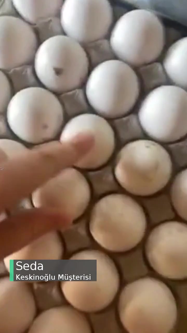 Keskinoğlu Yumurtalar Küflü, Lütfen Geri Dönüş Sağlayın! videonun kapak resmi