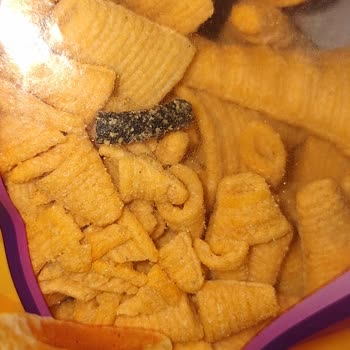 Aldığım Cips Paketinden Bilinmeyen Siyah Maddeler Çıktı, Kimse İlgilenmedi