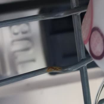 Bulaşık Makinesi Telleri Küflendi, Garanti Kapsamında Çözüm Sunulmuyor