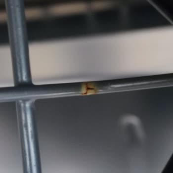 Bulaşık Makinesi Telleri Küflendi, Garanti Kapsamında Çözüm Sunulmuyor