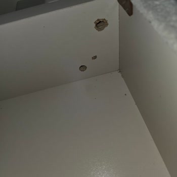 Kelebek Mobilya’dan Alınan Koltuklarda Sorunlar Ve İlgisizlik