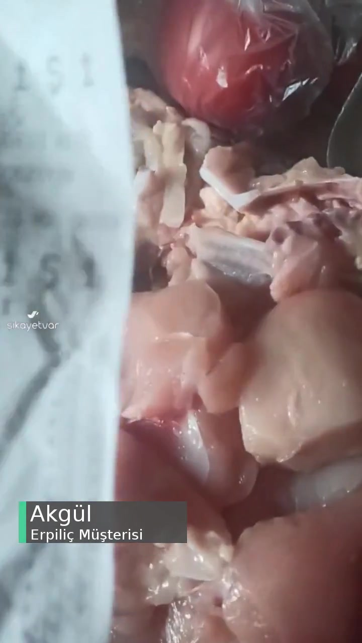 Erpiliç 4 Tane Bütün Tavuğum Çöp Oldu! videonun kapak resmi