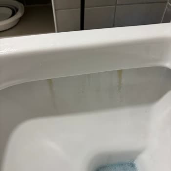 Yeni Alınan Klozette Erken Sararma Ve Garanti Desteği Sorunu