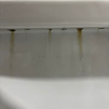 Yeni Alınan Klozette Erken Sararma Ve Garanti Desteği Sorunu