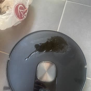 Air Wick Oda Kokusu Sızıntısı Nedeniyle Robot Süpürgem Zarar Gördü