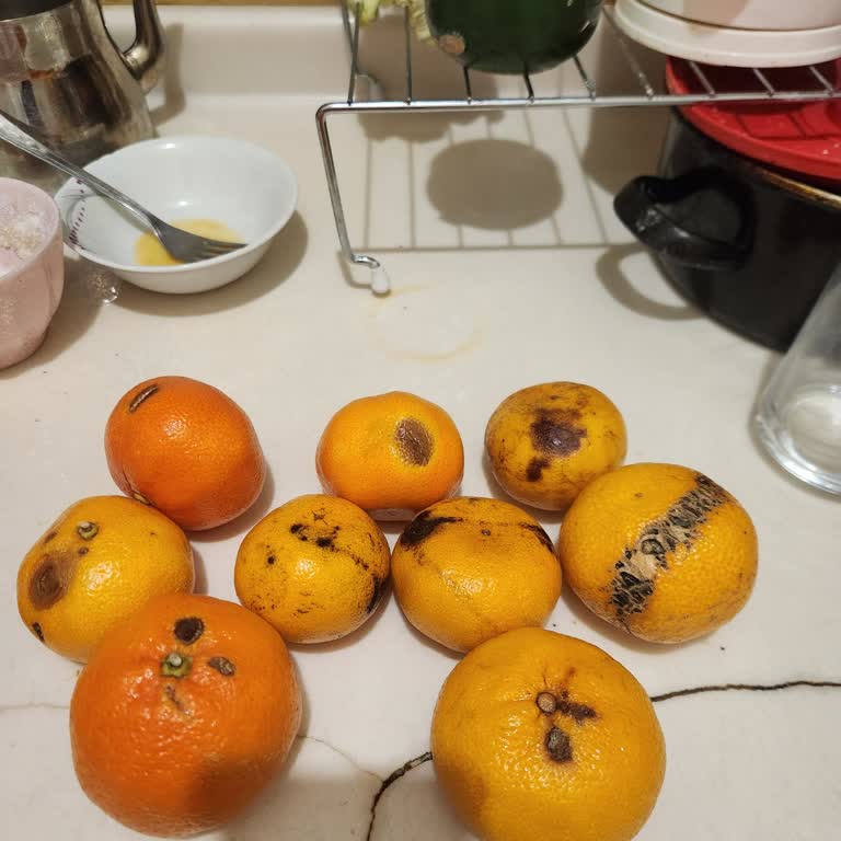 Balkiraz Pazarı'nda Sürekli Çürük Ve Kalitesiz Ürün Sorunu Yaşıyoruz