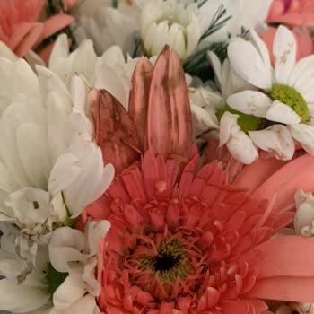 Çürük Çiçek Teslimatı Ve Müşteri Hizmetlerinden Destek Alamama