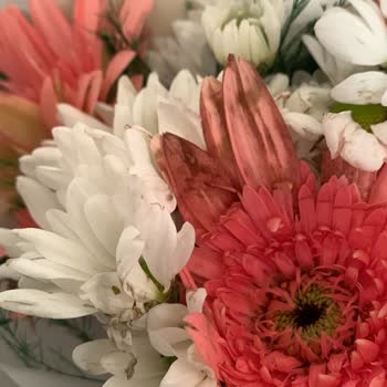 Çürük Çiçek Teslimatı Ve Müşteri Hizmetlerinden Destek Alamama