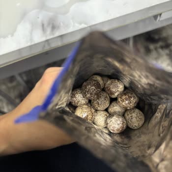 Kapalı Pakette Bozuk Çikolata Ve Ülker'den Dönüş Alamadım