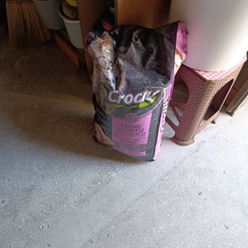 Crocus Kedi Maması Sokak Hayvanları Tarafından Kesinlikle Tüketilmiyor, İade Talebim Reddedildi